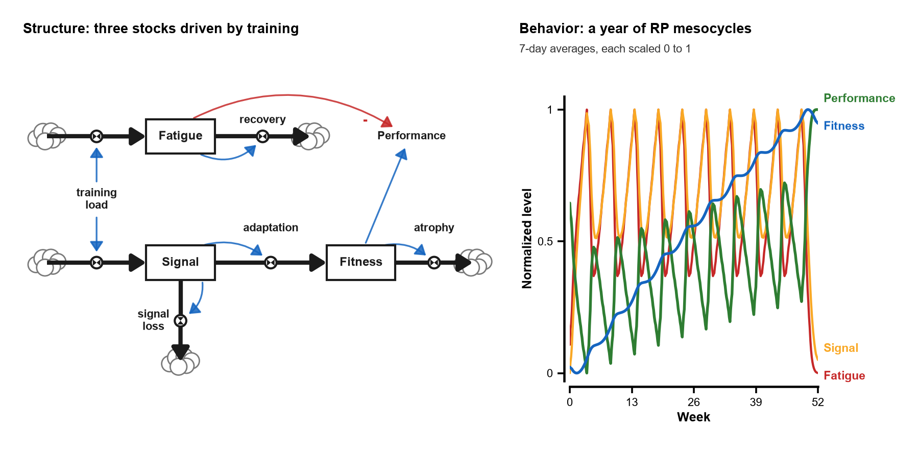 rtSD model and its behavior over a simulated year of RP mesocycles: Fatigue and Signal rise and fall with each training block, Performance dips and rebounds after each deload, and Fitness climbs in steps.